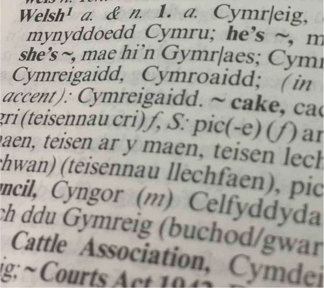 Dictionary page with definition of Welsh Language