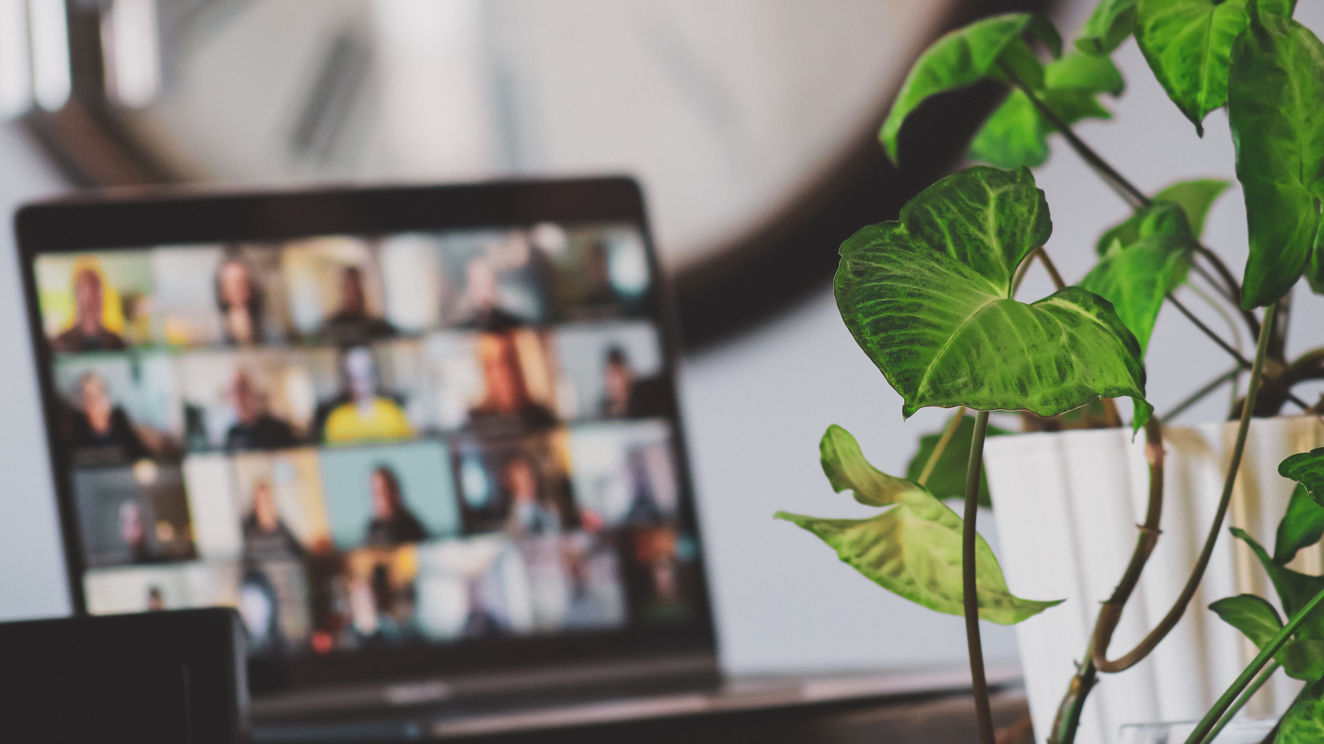 Image of a laptop in an online team meeting with a plant